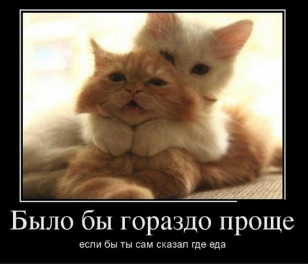 Планируем отдых заранее