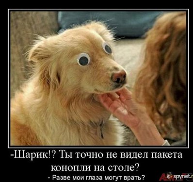ВАЖНО! Обман туристов заграницей